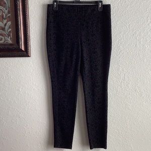 Style & Co women’s petite pants